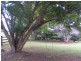 Canungra QLD 4275