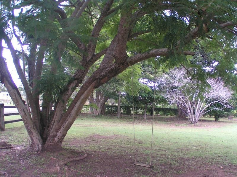 Canungra QLD 4275