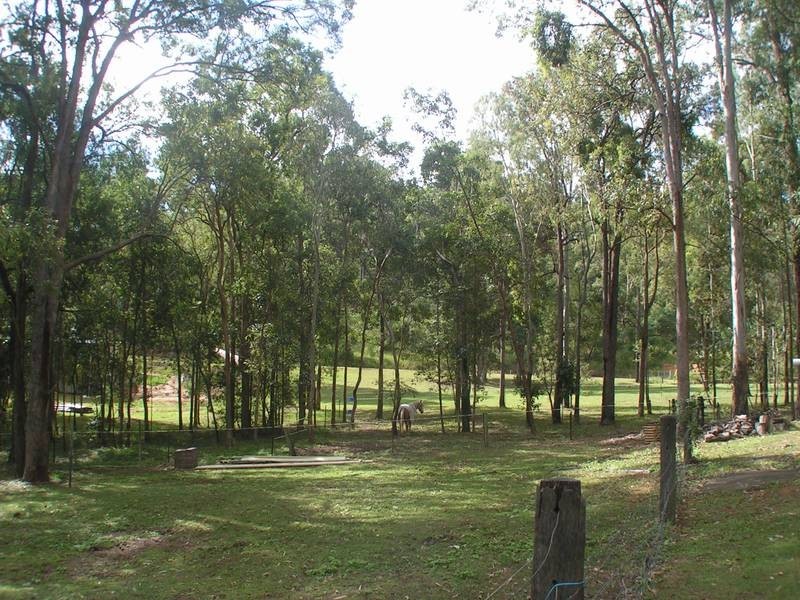 Canungra QLD 4275