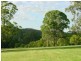 Canungra QLD 4275