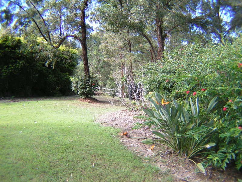 Canungra QLD 4275