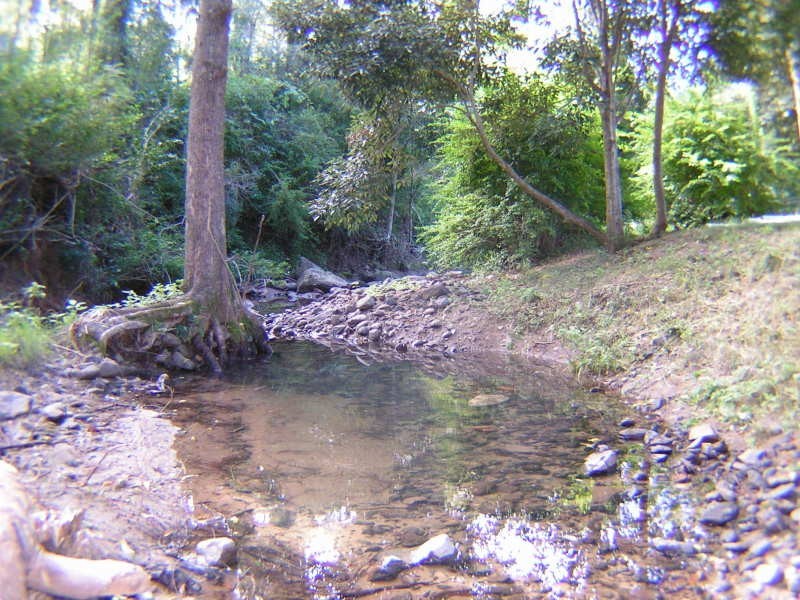 Canungra QLD 4275