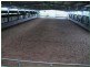 188 Armstrong Road, Biddaddaba QLD 4275