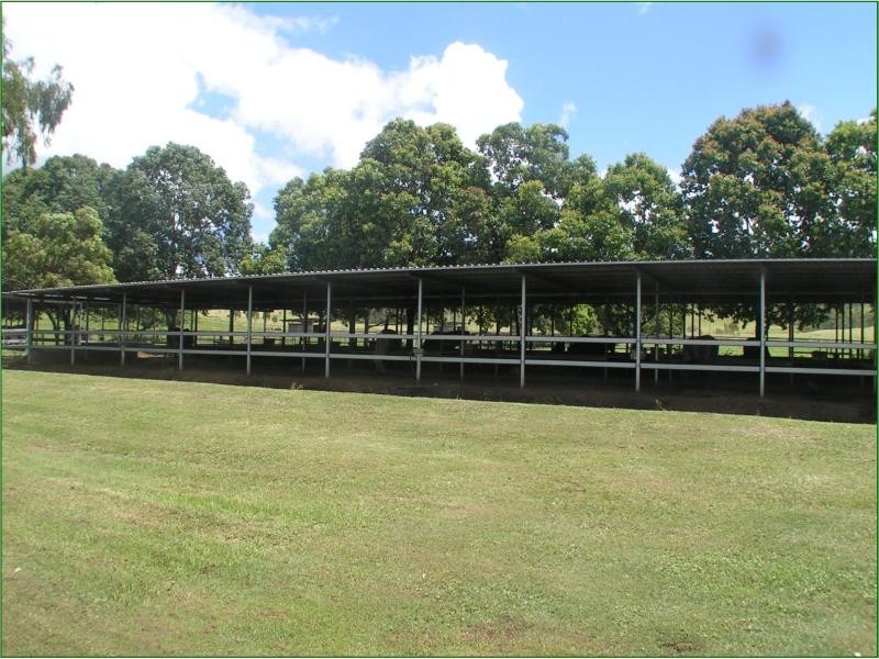 188 Armstrong Road, Biddaddaba QLD 4275
