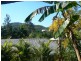 Canungra QLD 4275