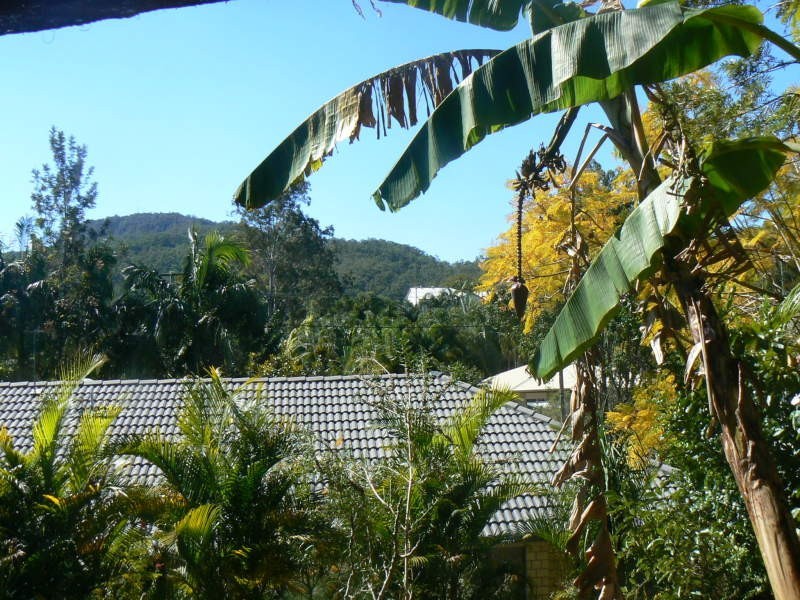 Canungra QLD 4275