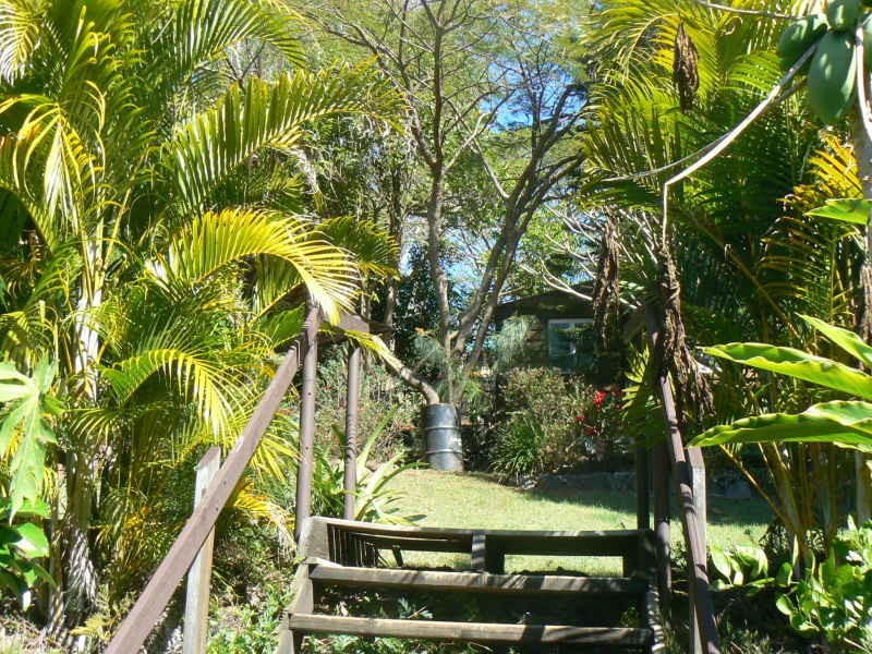 Canungra QLD 4275