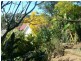Canungra QLD 4275