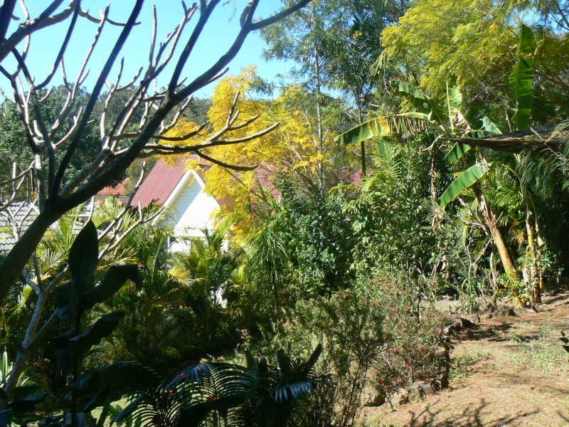 Canungra QLD 4275
