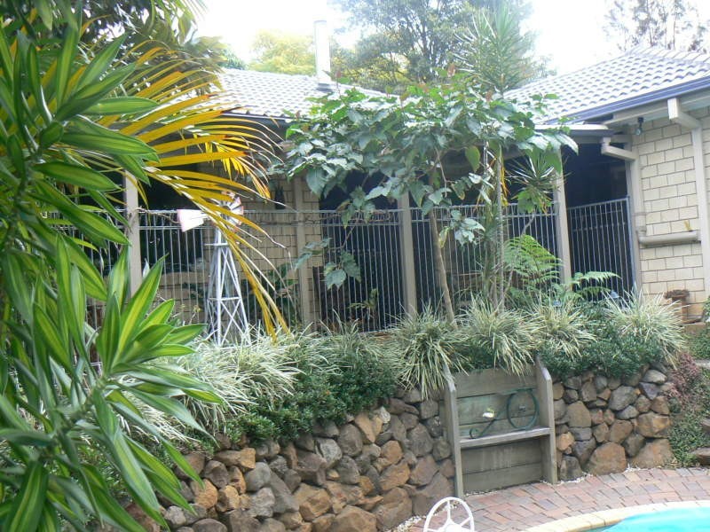 Canungra QLD 4275