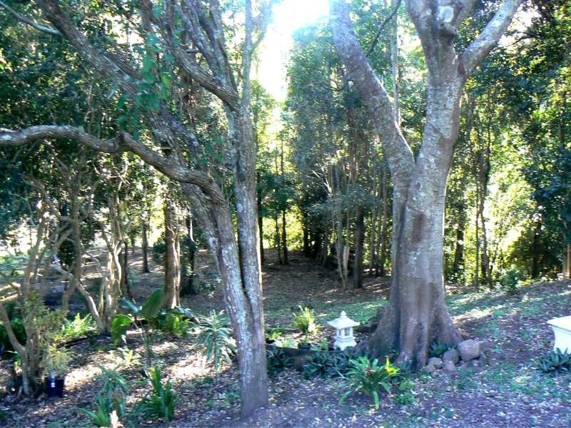 331 Flying Fox Road, Flying Fox QLD 4275