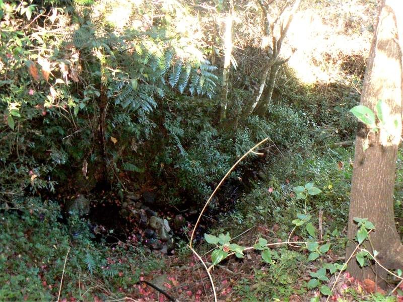 331 Flying Fox Road, Flying Fox QLD 4275