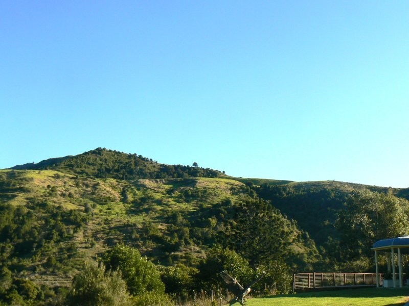 331 Flying Fox Road, Flying Fox QLD 4275