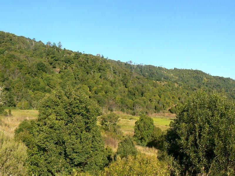 331 Flying Fox Road, Flying Fox QLD 4275