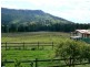 Ferny Glen QLD 4275