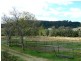 Ferny Glen QLD 4275