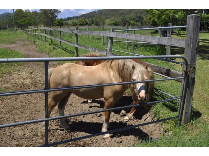 Ferny Glen QLD 4275