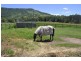 Ferny Glen QLD 4275