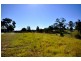 Mundoolun QLD 4285