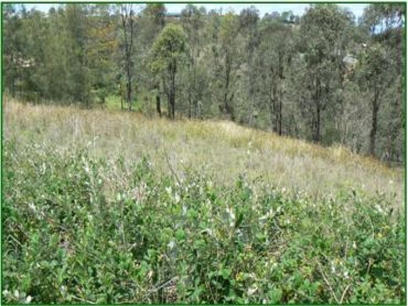 Kooralbyn QLD 4285