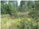 Tamborine QLD 4270