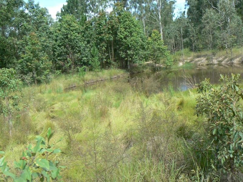 Tamborine QLD 4270