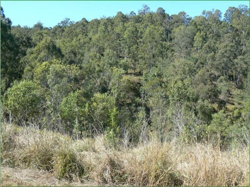 57 Farwell Close, Kooralbyn QLD 4285