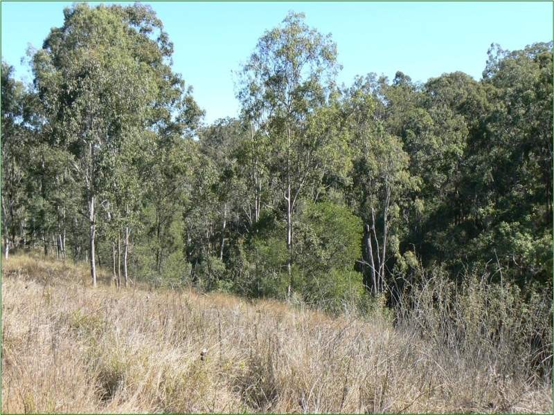 57 Farwell Close, Kooralbyn QLD 4285