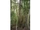Beechmont Road, Beechmont QLD 4211