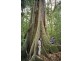 Beechmont Road, Beechmont QLD 4211
