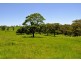 Beechmont Road, Beechmont QLD 4211