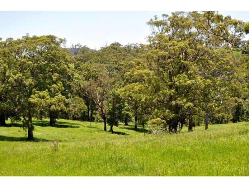 Beechmont Road, Beechmont QLD 4211