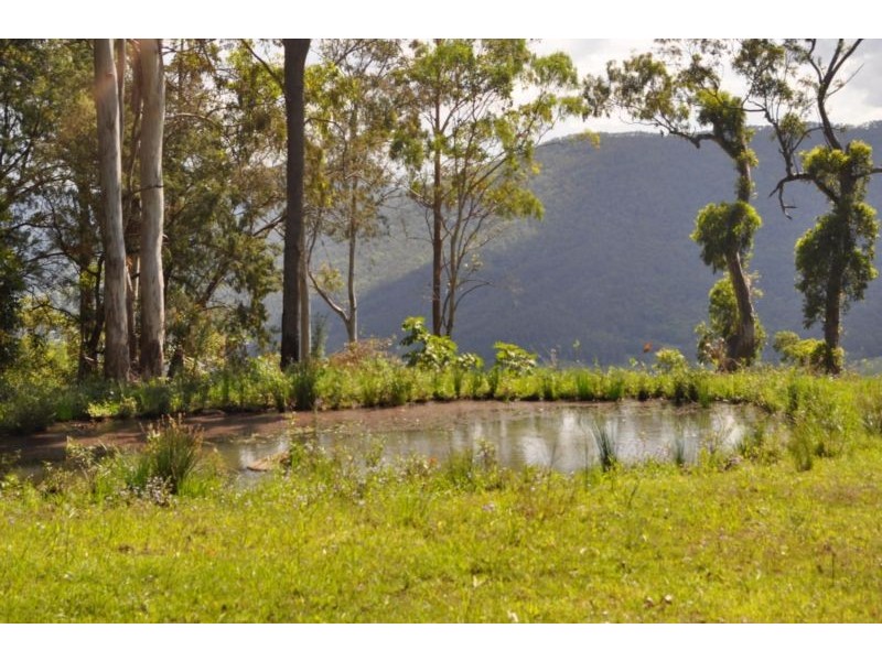 Lot 1, 837 Main Western Road, Tamborine Mountain QLD 4272
