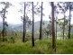 Lot 1, 837 Main Western Road, Tamborine Mountain QLD 4272