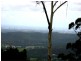 Tamborine Mountain QLD 4272
