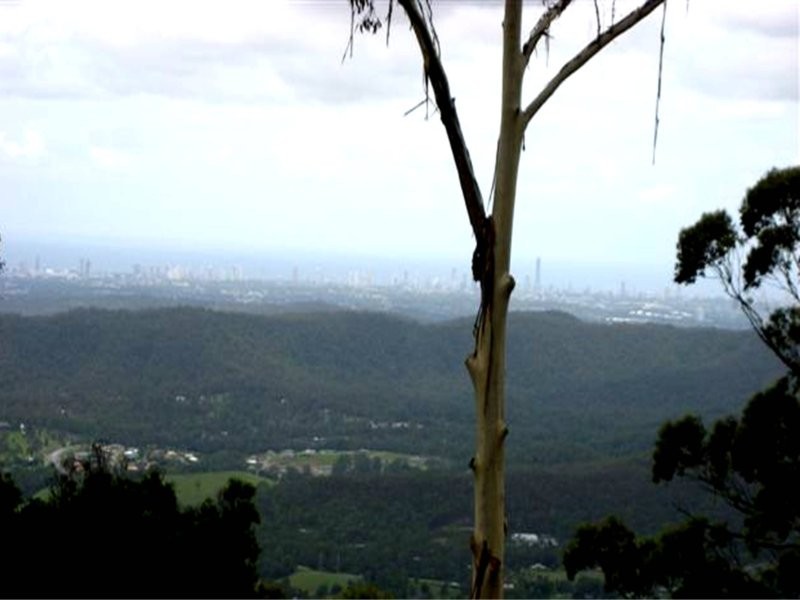 Tamborine Mountain QLD 4272