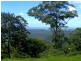Tamborine Mountain QLD 4272