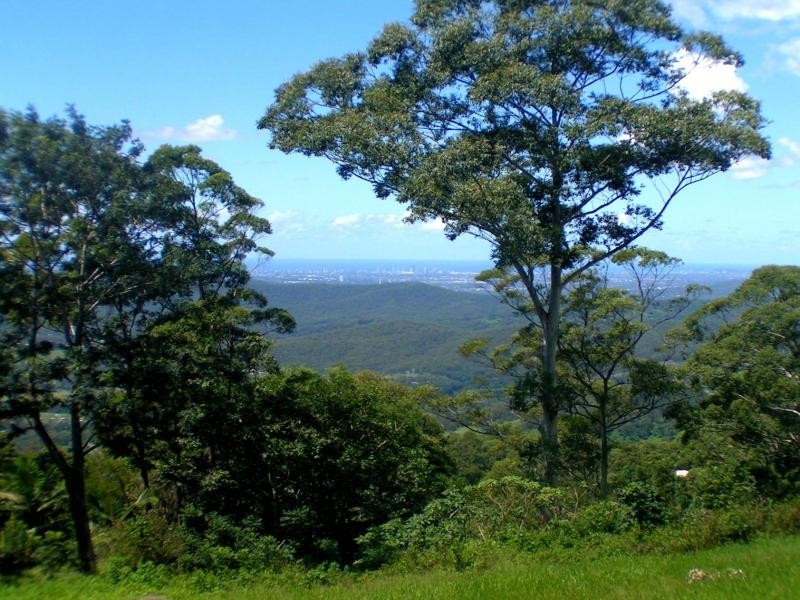 Tamborine Mountain QLD 4272