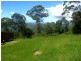 Tamborine Mountain QLD 4272