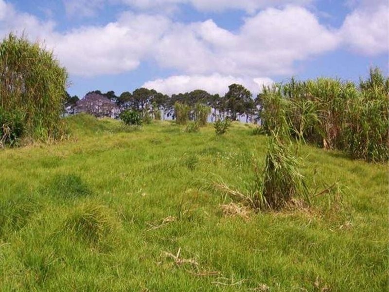 379 Long Road, Tamborine Mountain QLD 4272