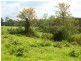West Road, Tamborine Mountain QLD 4272