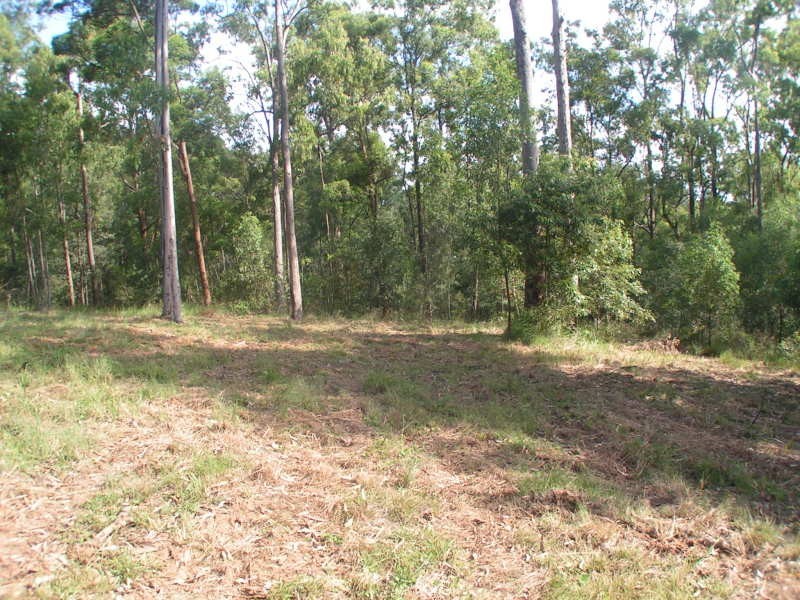 101 Prosperity Drive, Boyland QLD 4275