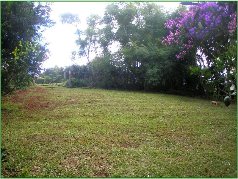 Tamborine Mountain QLD 4272