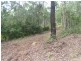 Canungra QLD 4275