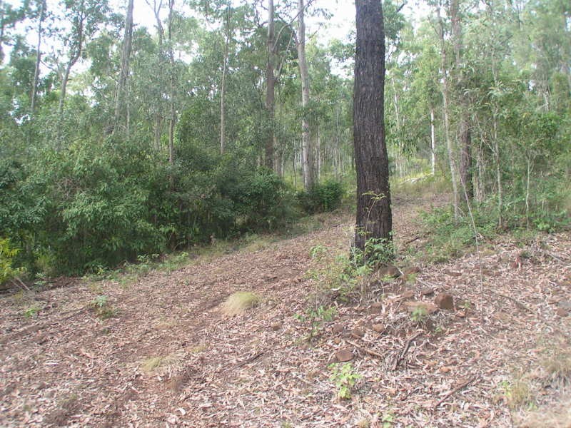 Canungra QLD 4275