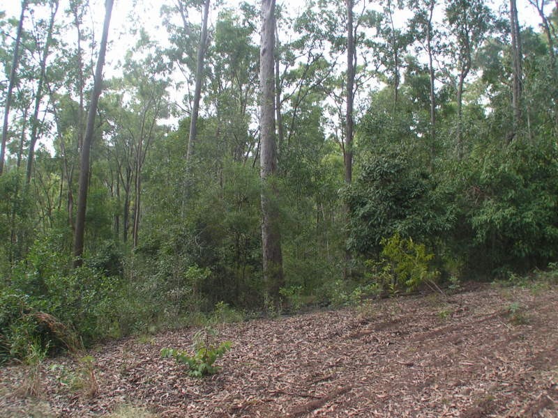 Canungra QLD 4275