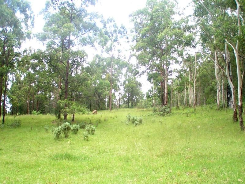 Tamborine Mountain QLD 4272