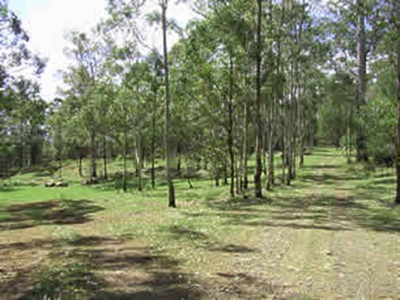 Tamborine Mountain QLD 4272
