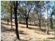 Kooralbyn QLD 4285