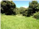 Tamborine Mountain QLD 4272